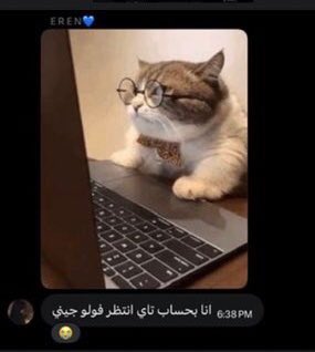 110M | mar ⭐⭐ tweet media