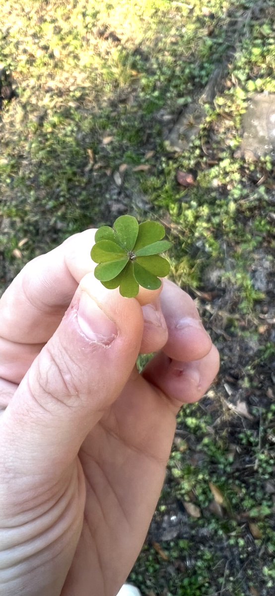 <a href="/NarutoRamen123/">🧽 3% wants a switch 2</a> old photo but it exists……. SENDING THIS ENERGY FOR DONOS TODAY!!!!!🍀✨🍀✨🍀✨🍀✨🍀✨🍀✨🍀✨🍀✨🍀✨