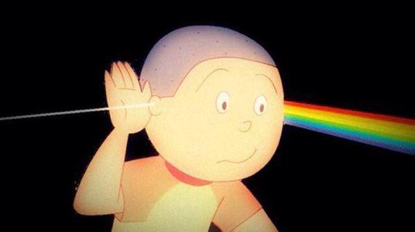 도트 🪼 tweet media