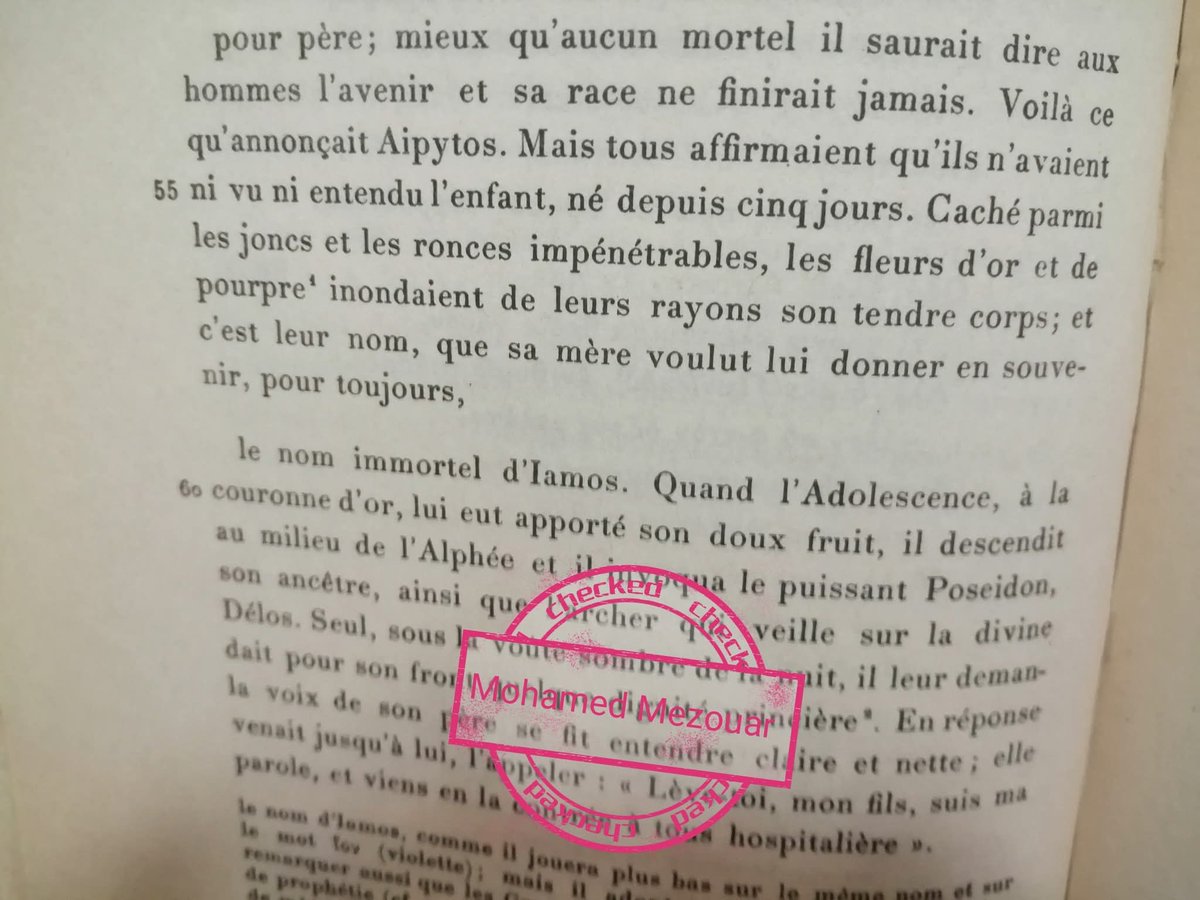 M.MEZOUAR tweet media