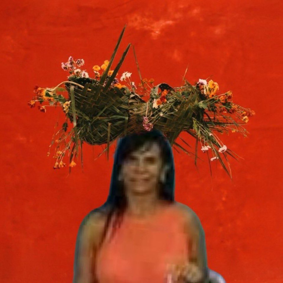 GatoOnly EQUILIBRIVM tweet media