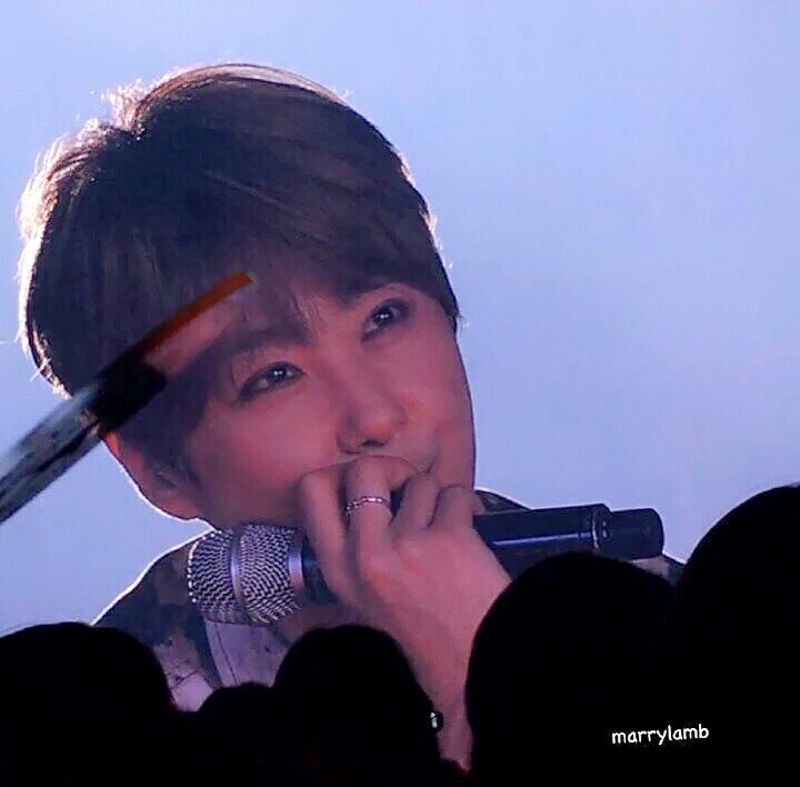 토순이 tweet media