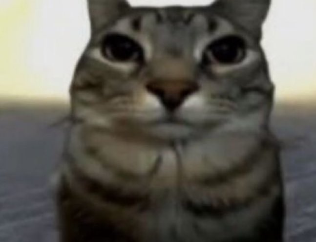 lexie ˚⊹｡⋆౨ৎ˚ tweet media