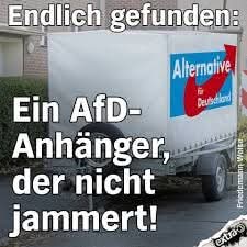 stecki 2.0😾📯🏳️🌈 tweet media