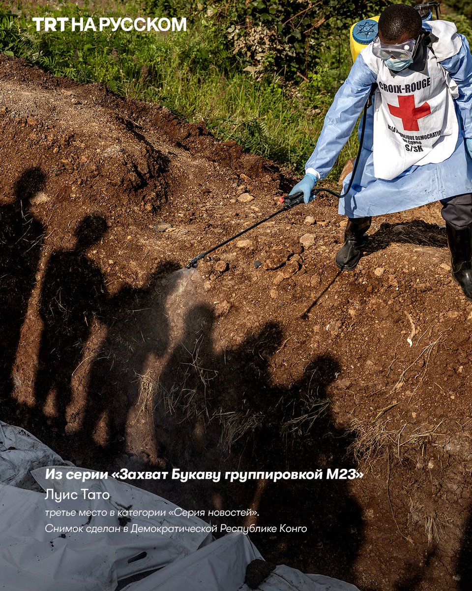 TRT на русском tweet media