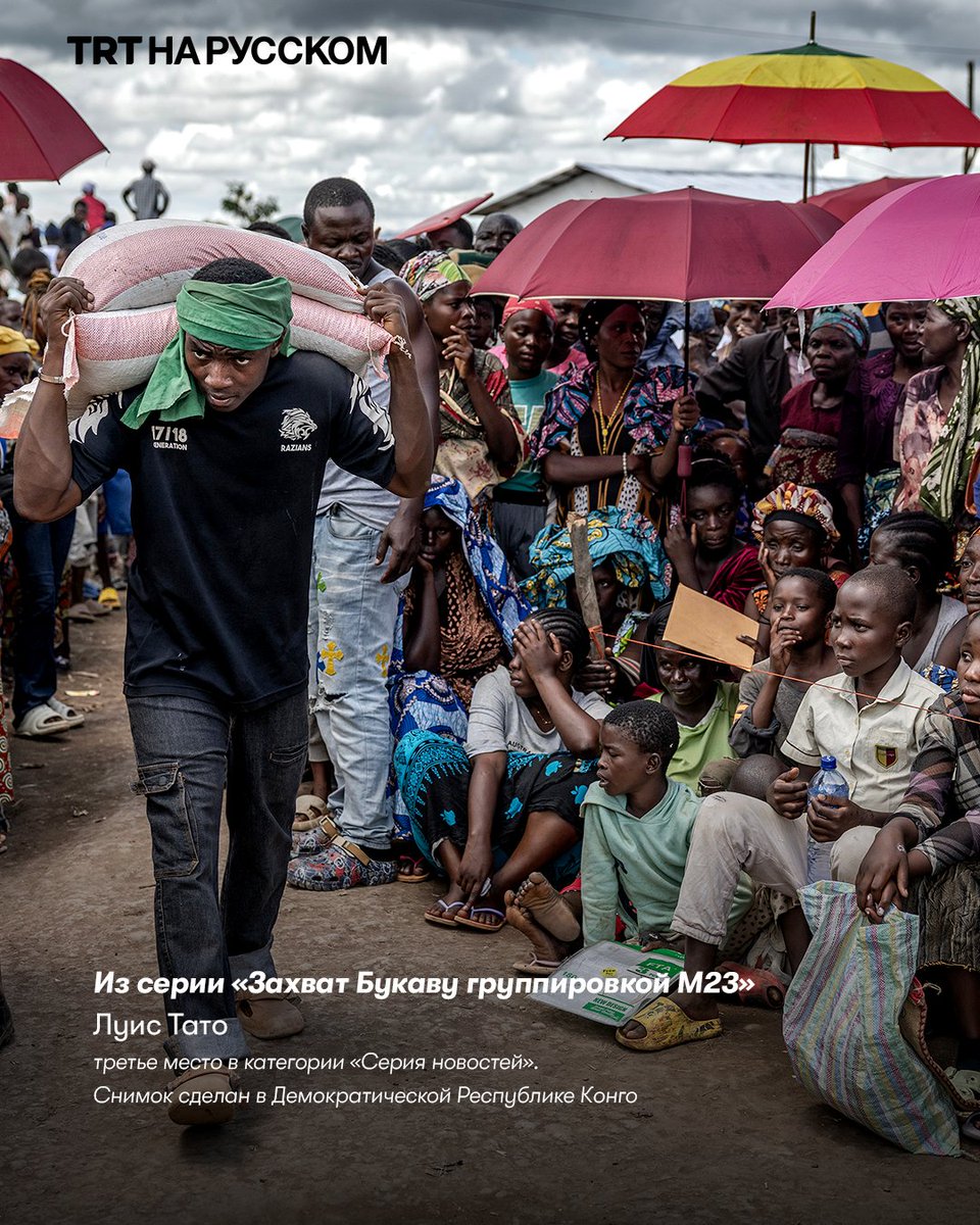 TRT на русском tweet media