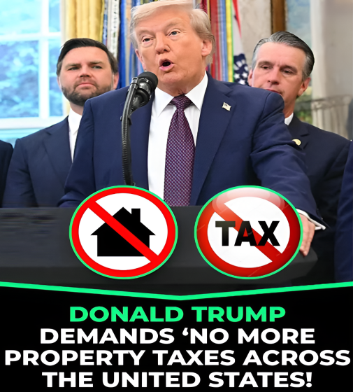 Medeea Greere tweet media