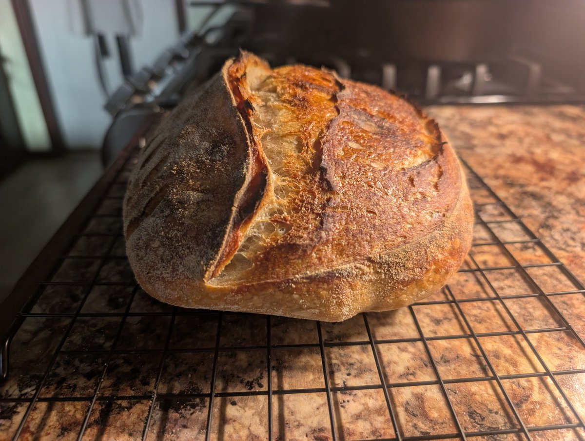 josefius's tweet image. Another loaf I made, cold proofed for about 30 hours. #SourdoughMagic #sourdough #baking