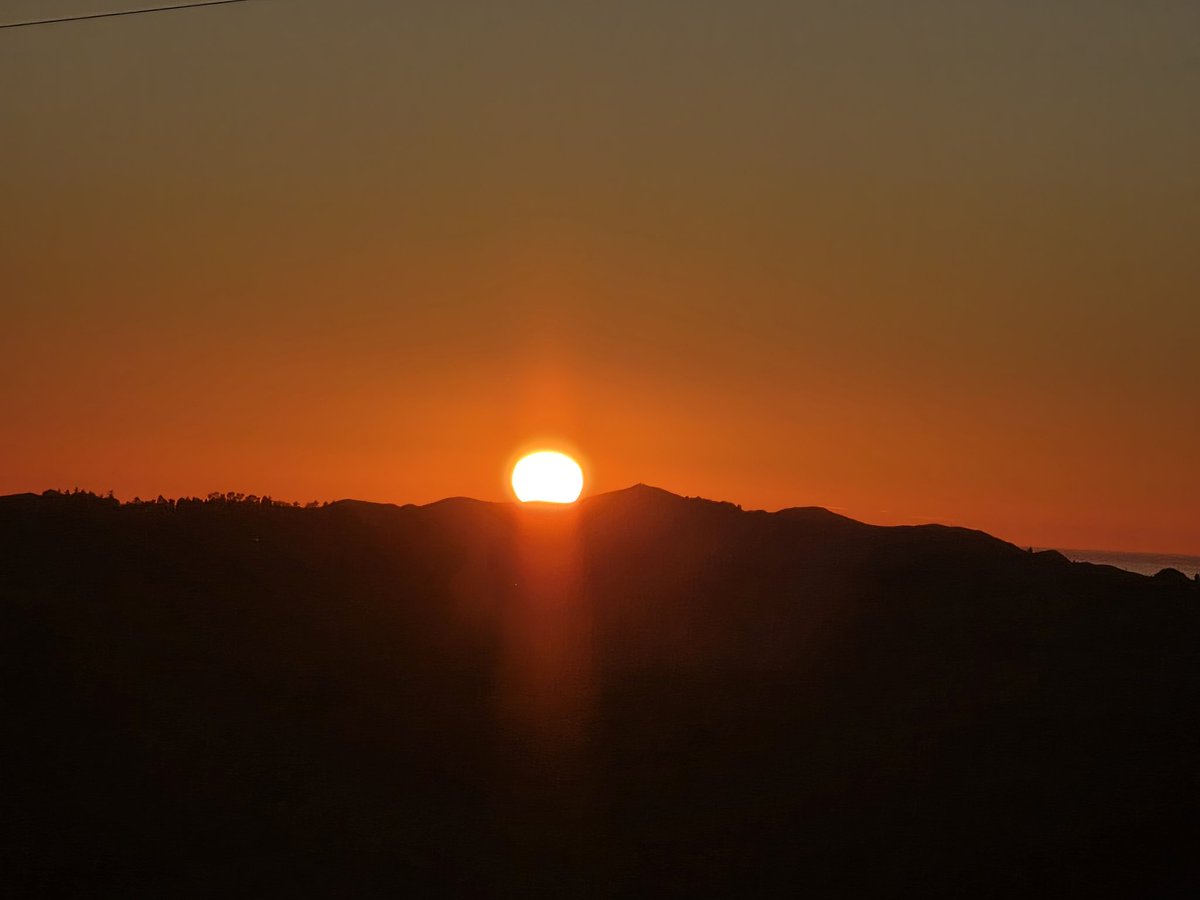 Janmaree tweet media