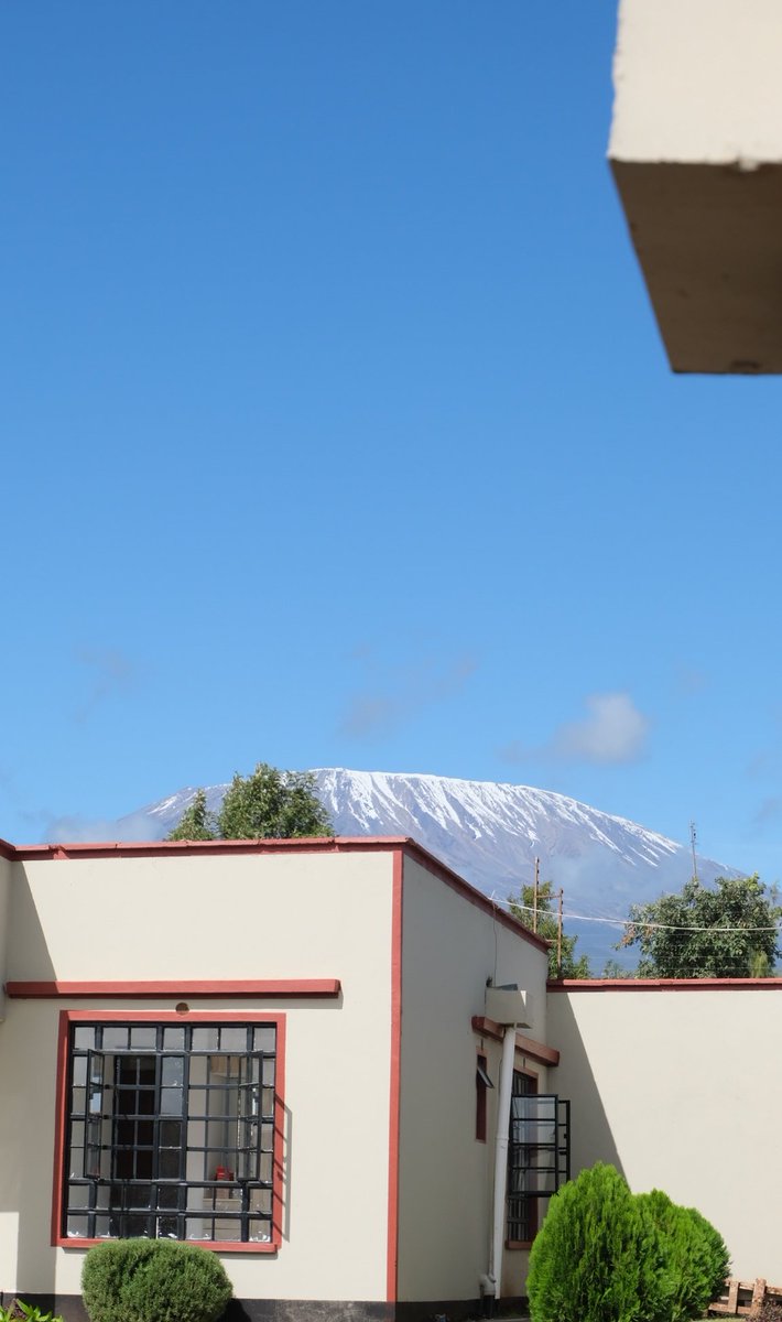 ๐ฏ๐๐ ๐ฏ๐๐๐๐ด tweet media