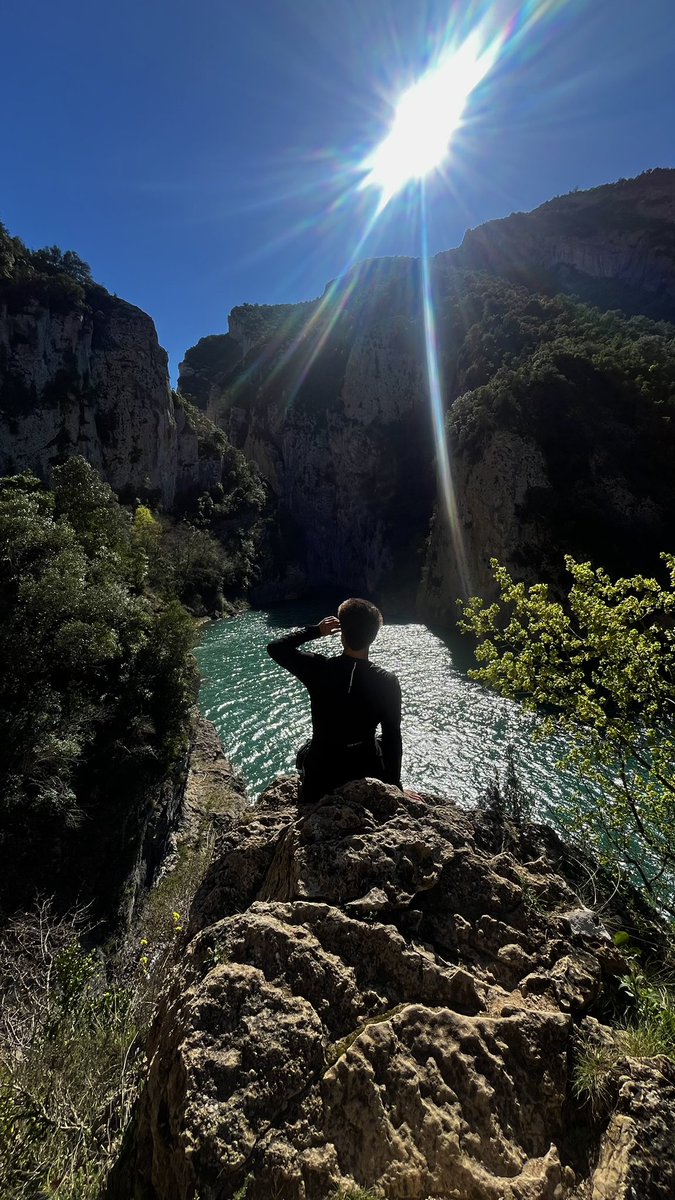 Markituuss tweet media