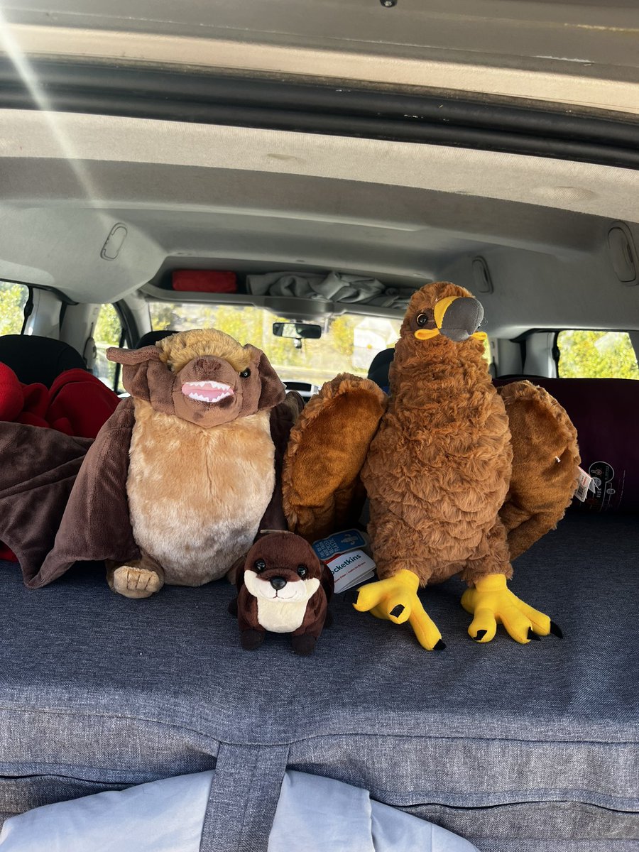 Markituuss tweet media