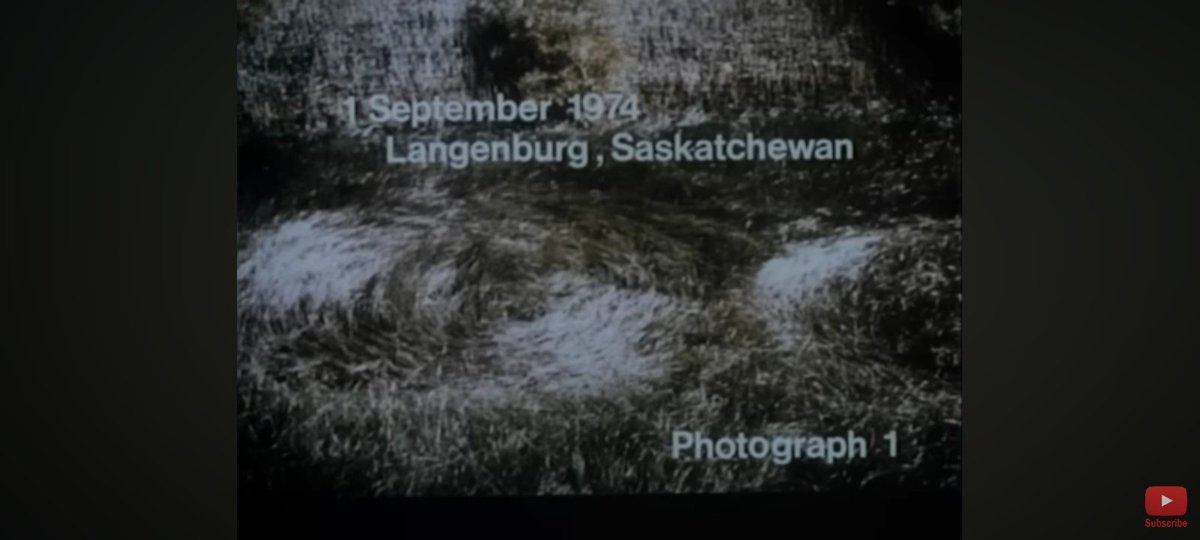 Craig Capel 🏴🇪🇸🇬🇧🇦🇺 tweet media