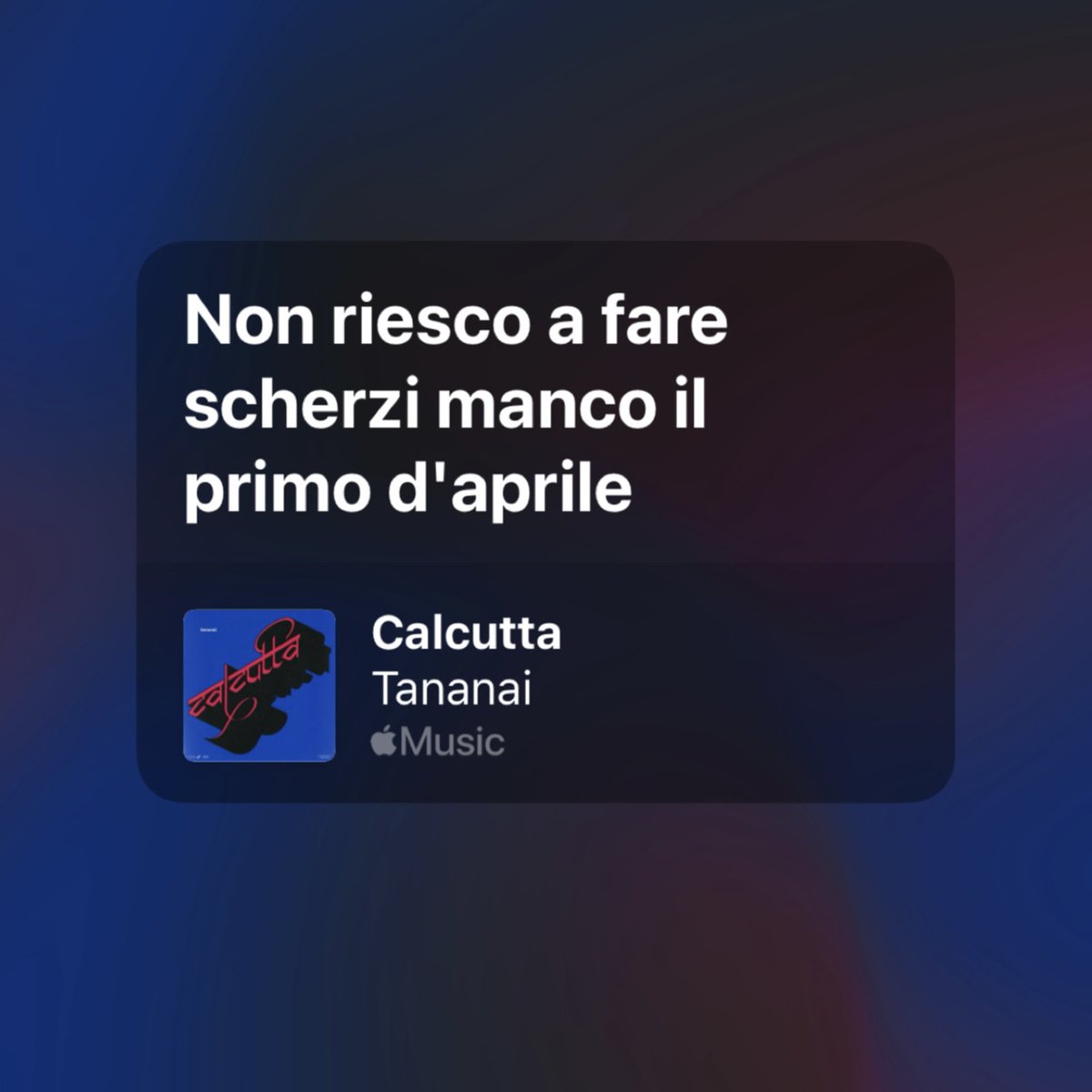 lucrezia ⭑ tweet media