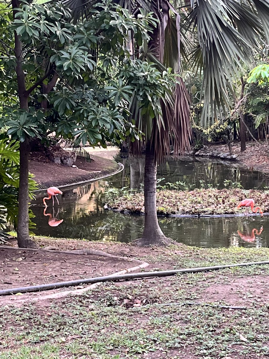 Maria Gabriela Escovar tweet media