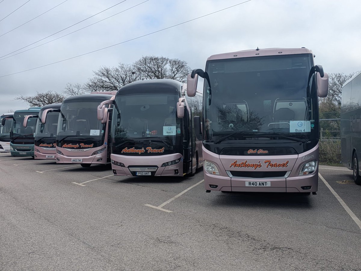 ANTHONYS TRAVEL tweet media