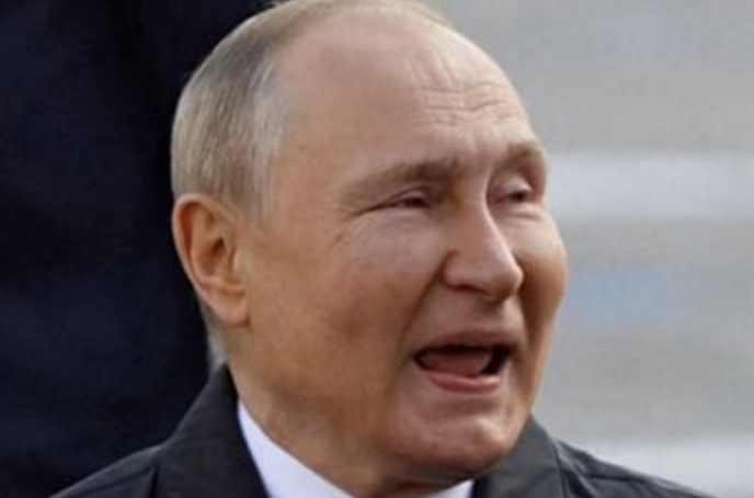 Ivan Zhdanov tweet media