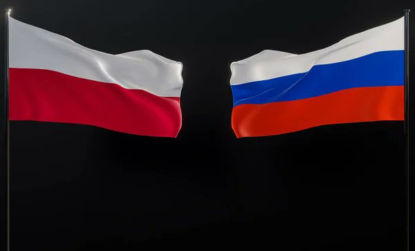 Based Poland 🇵🇱 tweet media