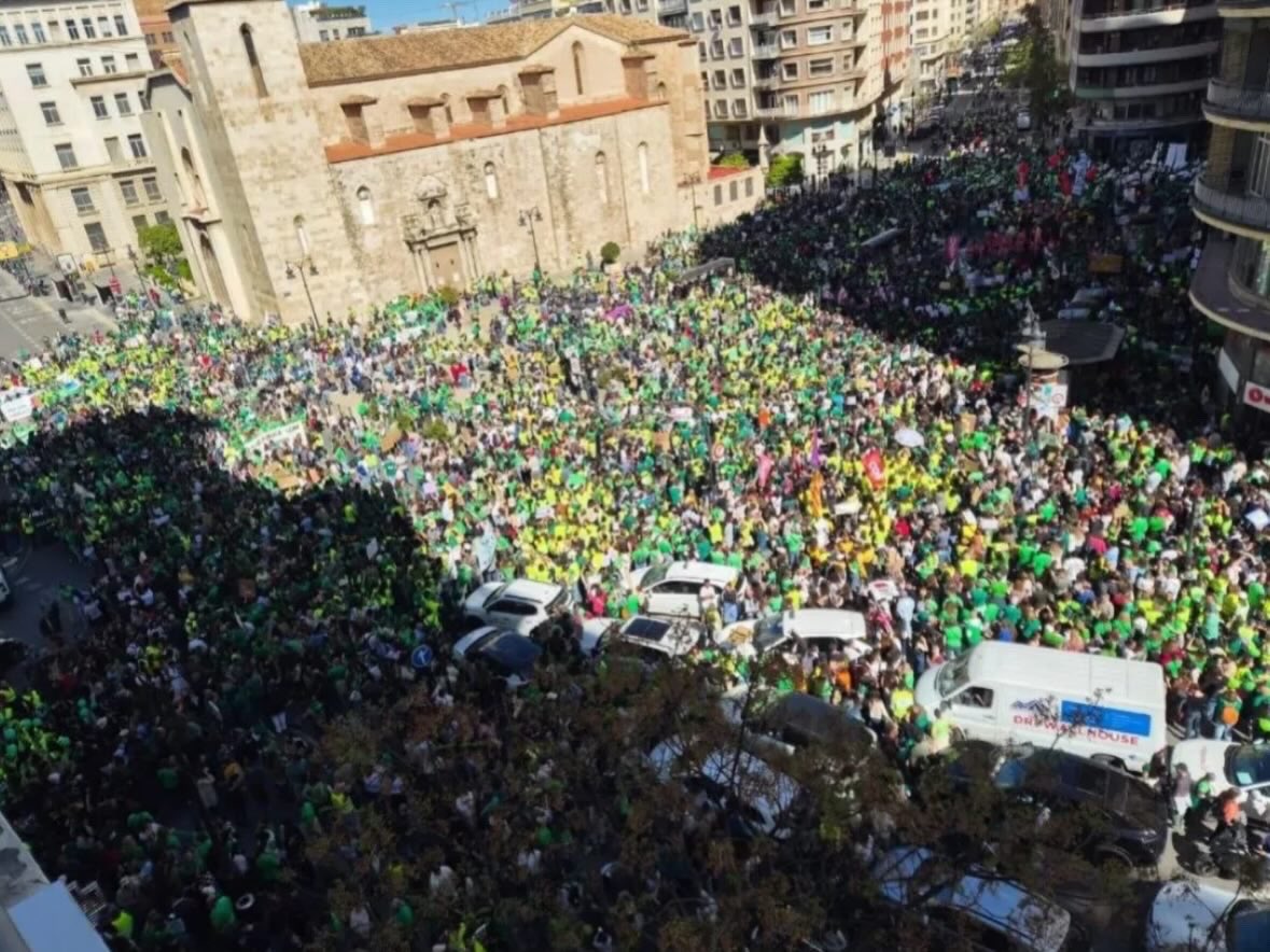 Sindicat d'Estudiants P.Valencià tweet media