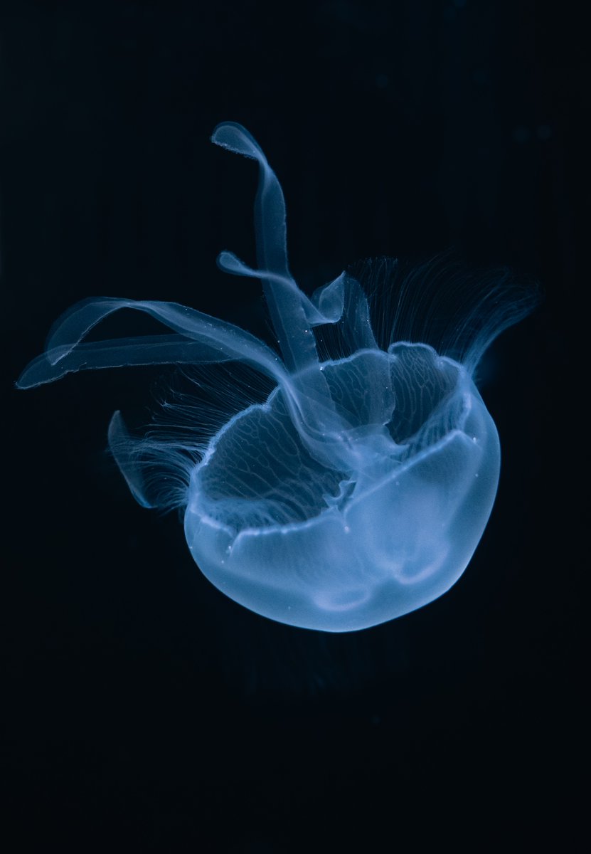 雨霞/amagasumi tweet media