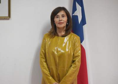 Javier del Río Richter tweet media