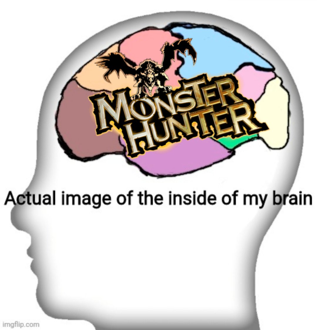 Now lets do this but for Monster Hunter Fans.