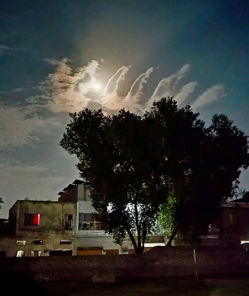 Saba Bashir tweet media