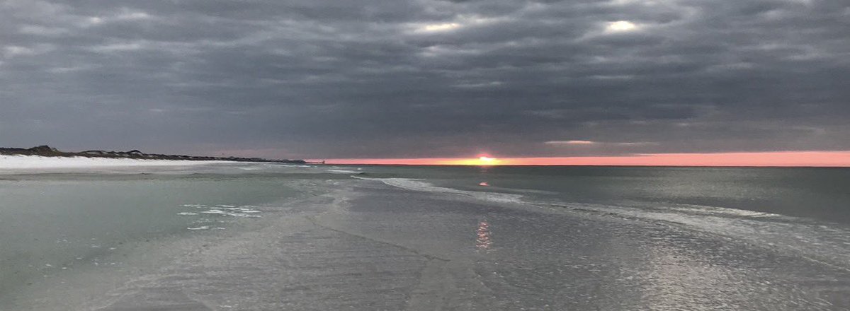 The Above Party tweet media