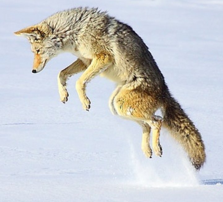 ฿ØØ₦Ɇ฿łØ₦ł₵₴ tweet media