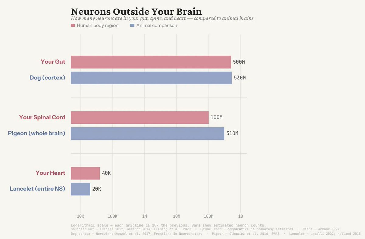 Max Shen tweet media