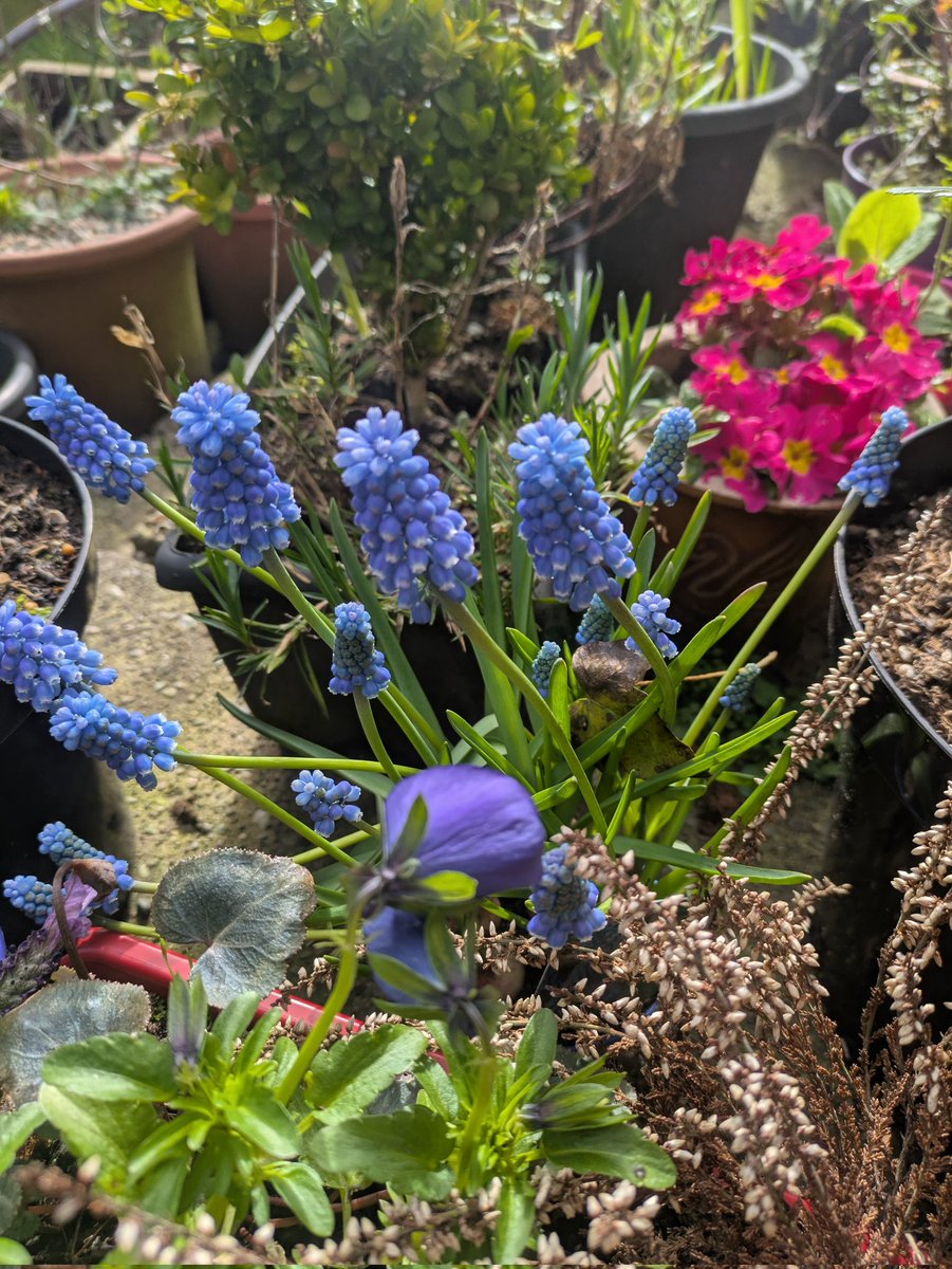 Ann Ward tweet media