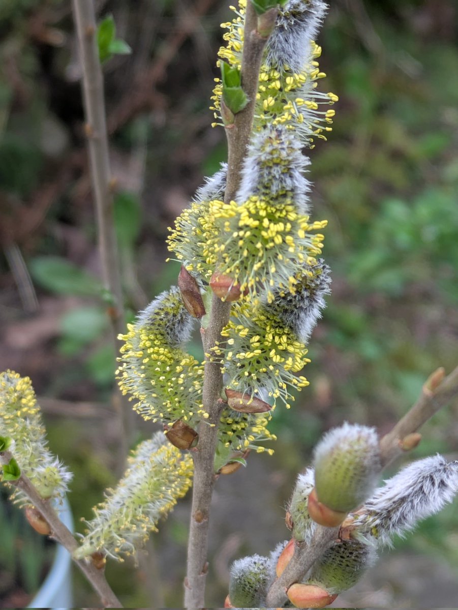 Ann Ward tweet media