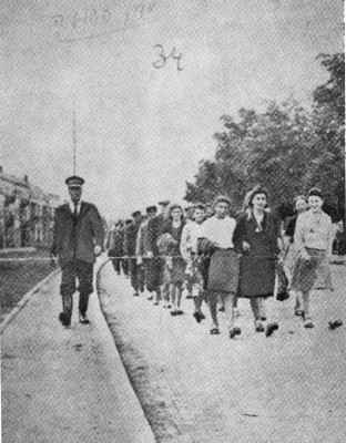 Auschwitz Exhibition tweet media