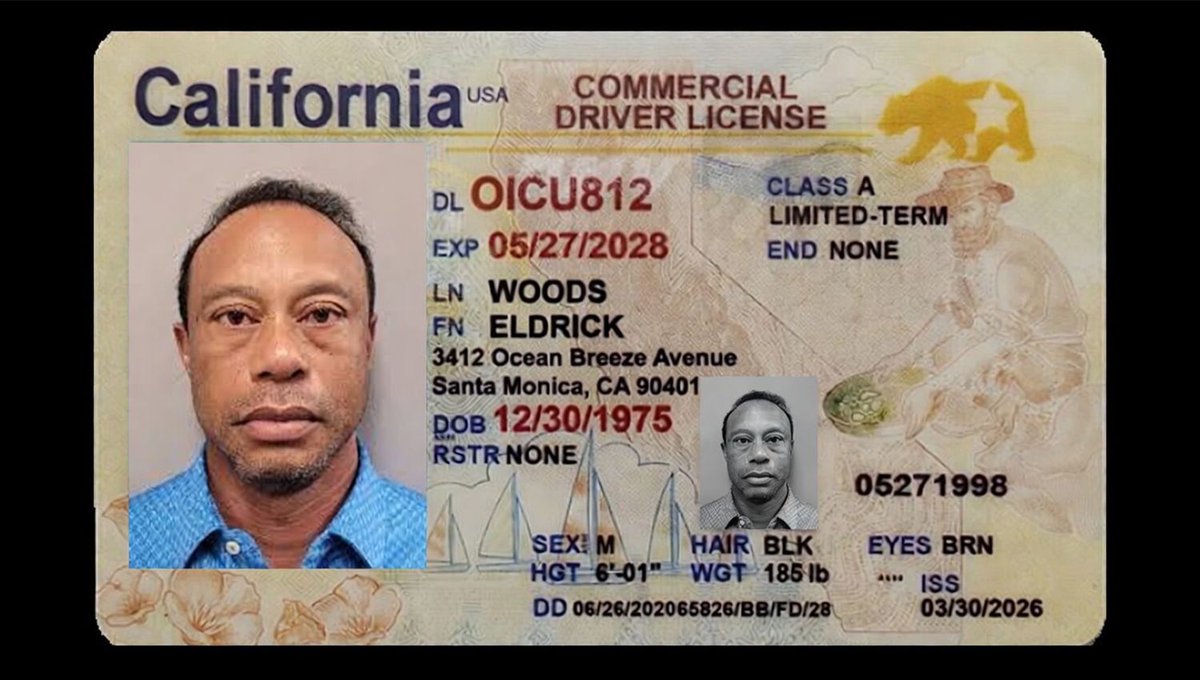 The Babylon Bee tweet media