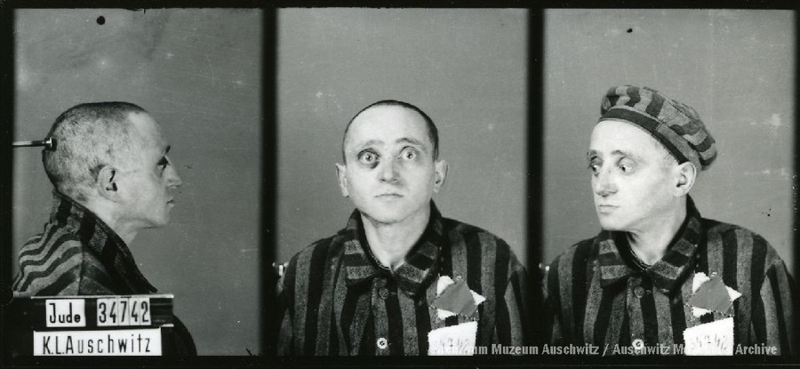 Auschwitz Memorial tweet media