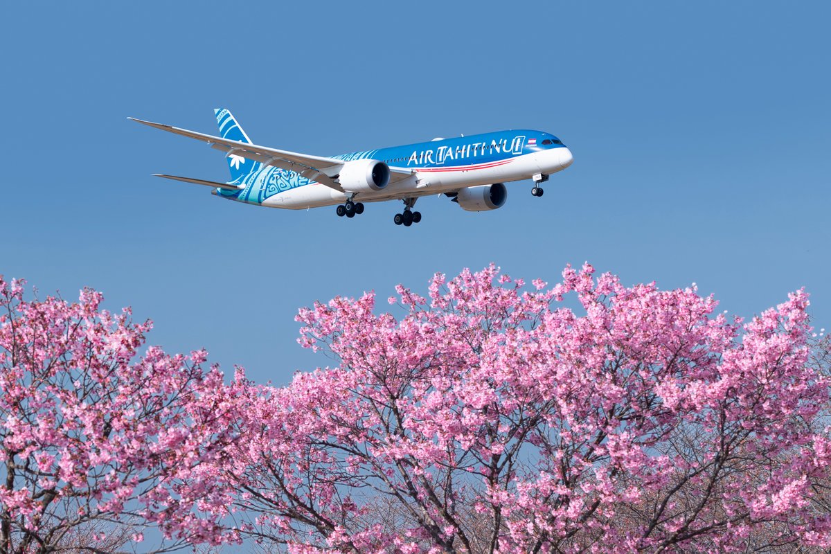 𝐓𝐡𝐞 𝐜𝐡𝐞𝐫𝐫𝐲 𝐛𝐥𝐨𝐬𝐬𝐨𝐦 𝐬𝐞𝐚𝐬𝐨𝐧 𝐢𝐬 𝐡𝐞𝐫𝐞 🌸✈️

Fly direct from Tahiti to Japan with Air Tahiti Nui aboard the 𝑇𝑎ℎ𝑖𝑡𝑖𝑎𝑛 𝐷𝑟𝑒𝑎𝑚𝑙𝑖𝑛𝑒𝑟, and (re)discover iconic landscapes beautifully enhanced by sakura.

📸 ©Yutaka Okamoto
