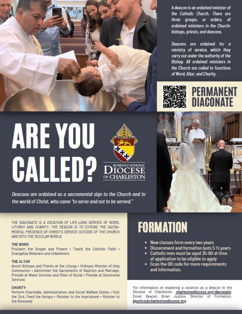 Diocese of Charleston tweet media