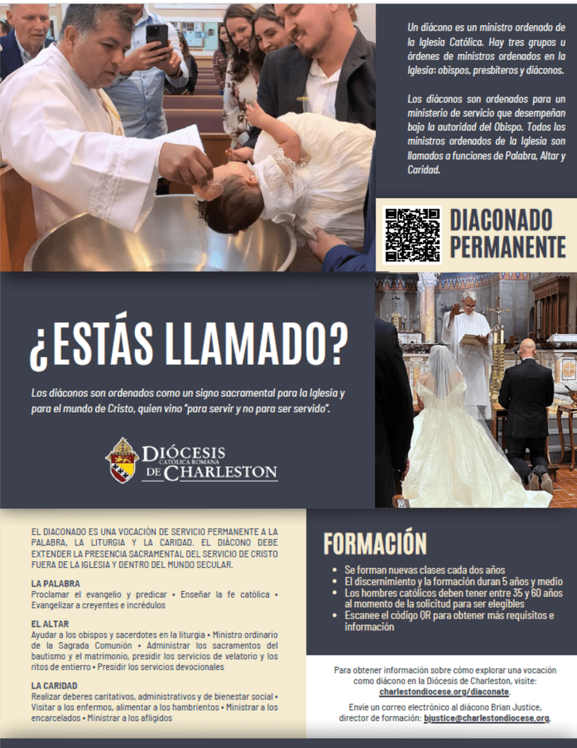 Diocese of Charleston tweet media