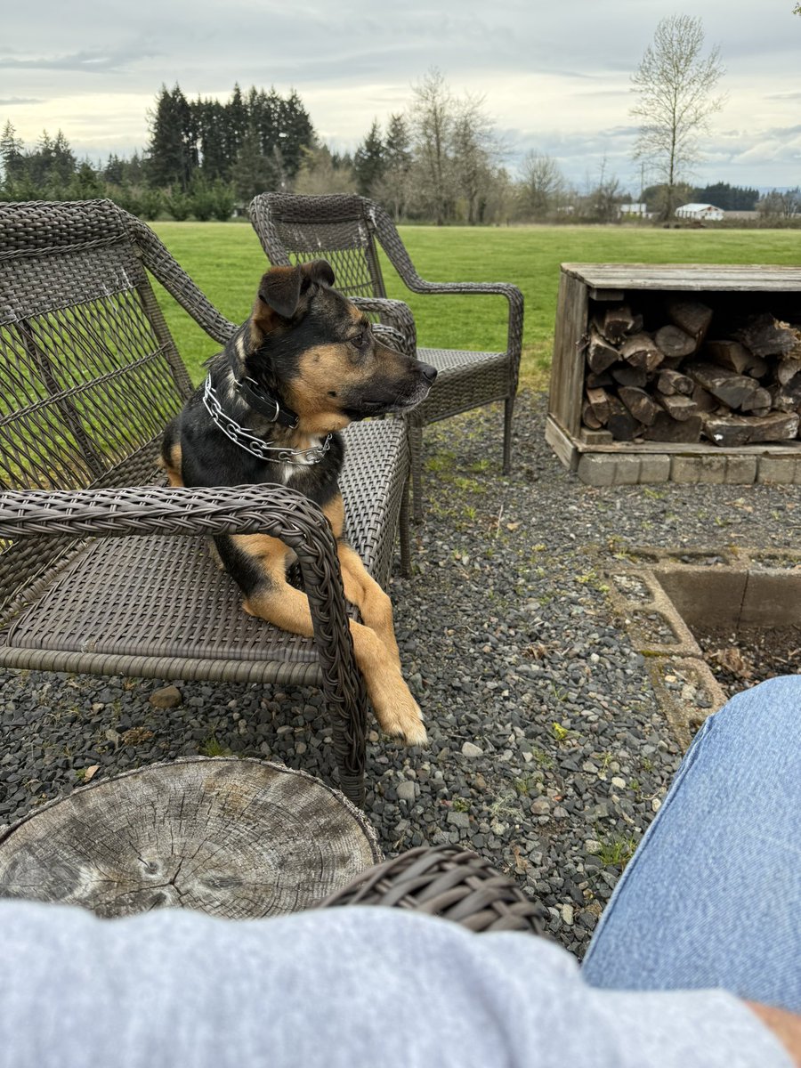 Chris Lemke tweet media