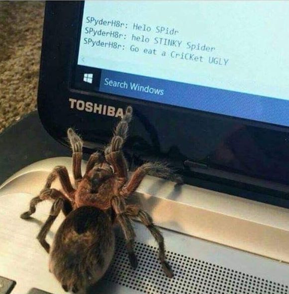 horse dentist tweet media