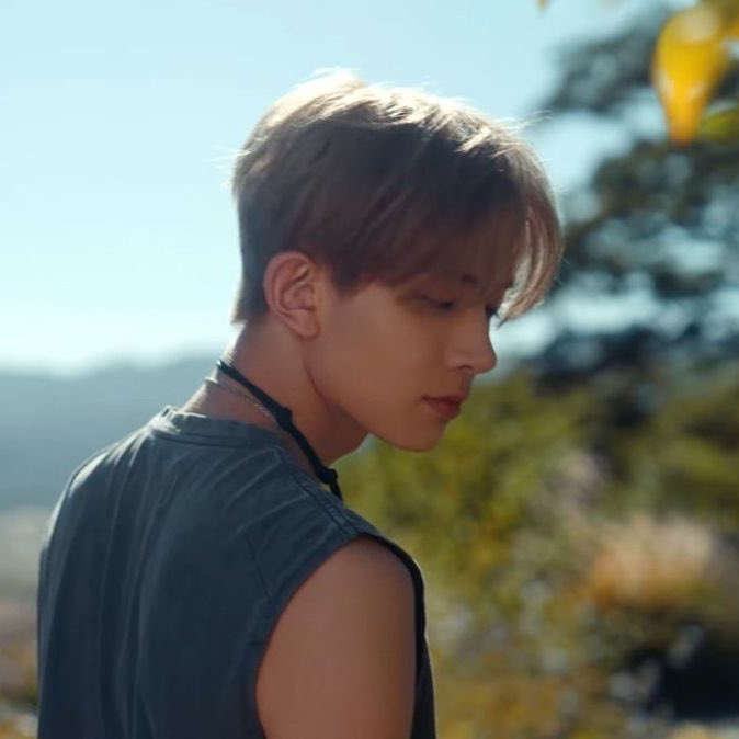 liv♡fan tweet media