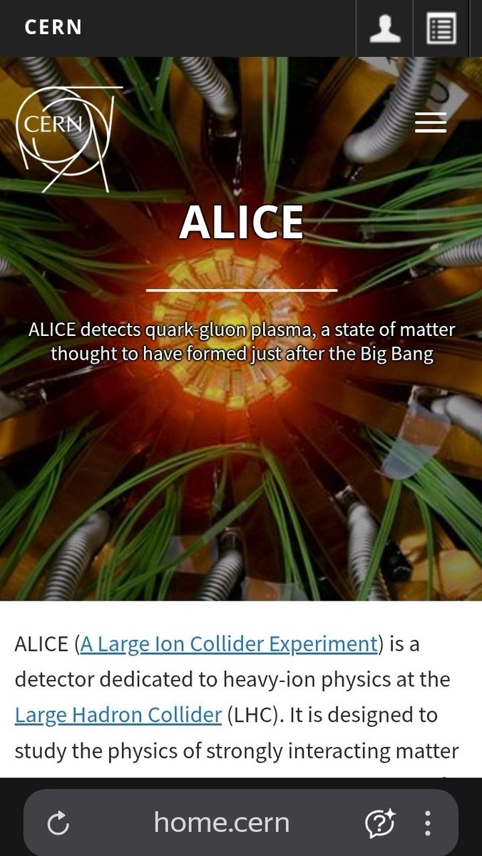 AliceInWonderland17 tweet media