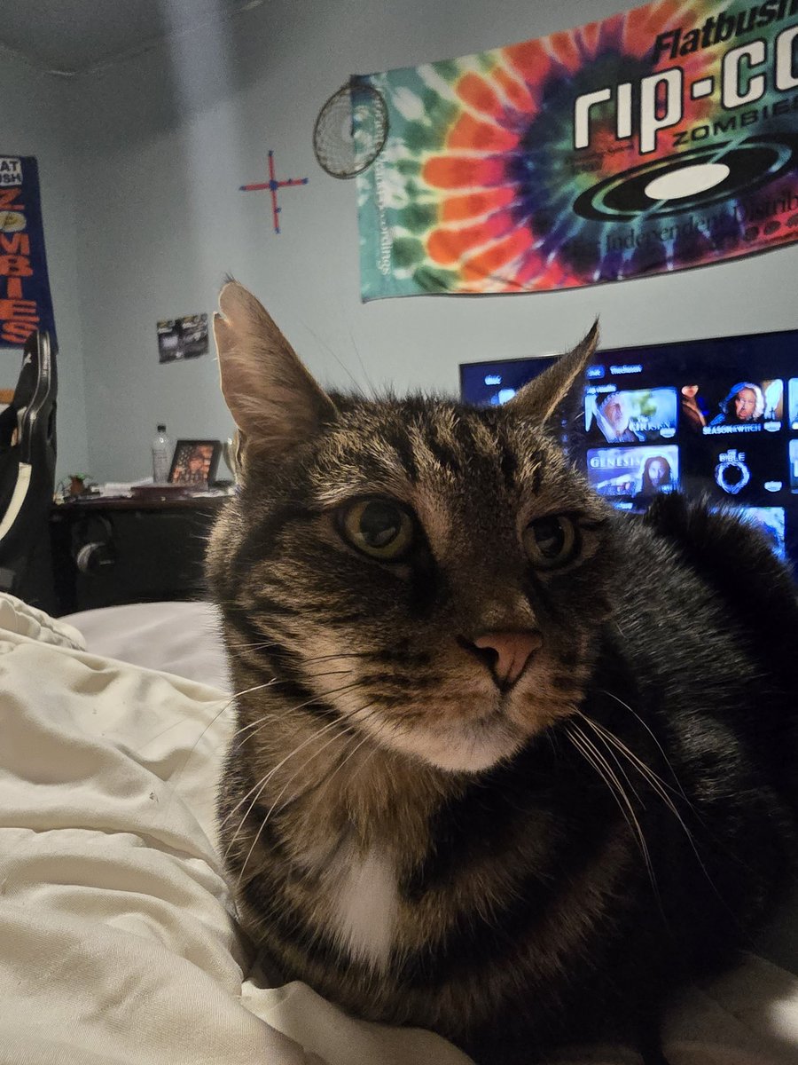 SlikkRikk tweet media