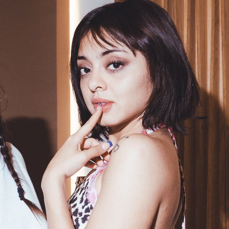 Cachirula Stats tweet media