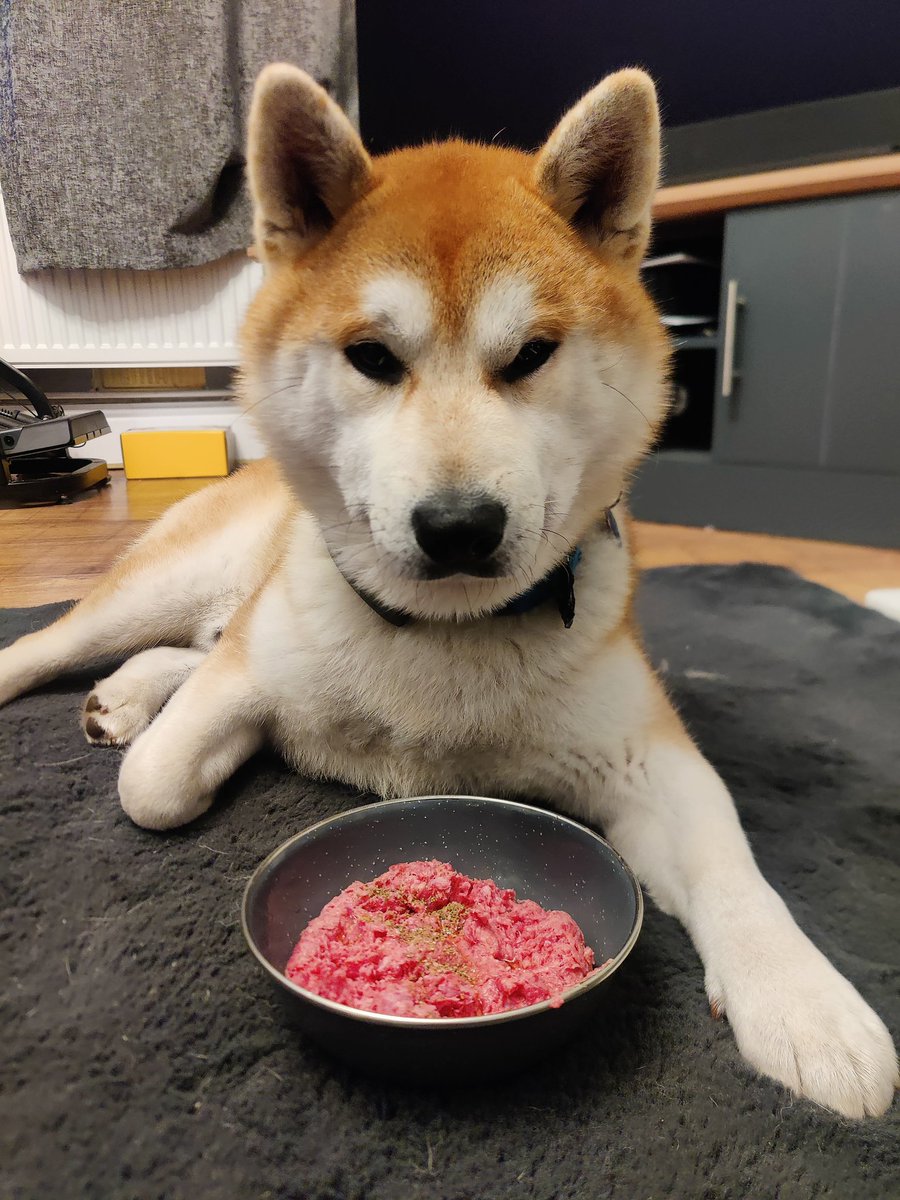 Martyn 🏴󠁧󠁢󠁷󠁬󠁳󠁿 tweet media