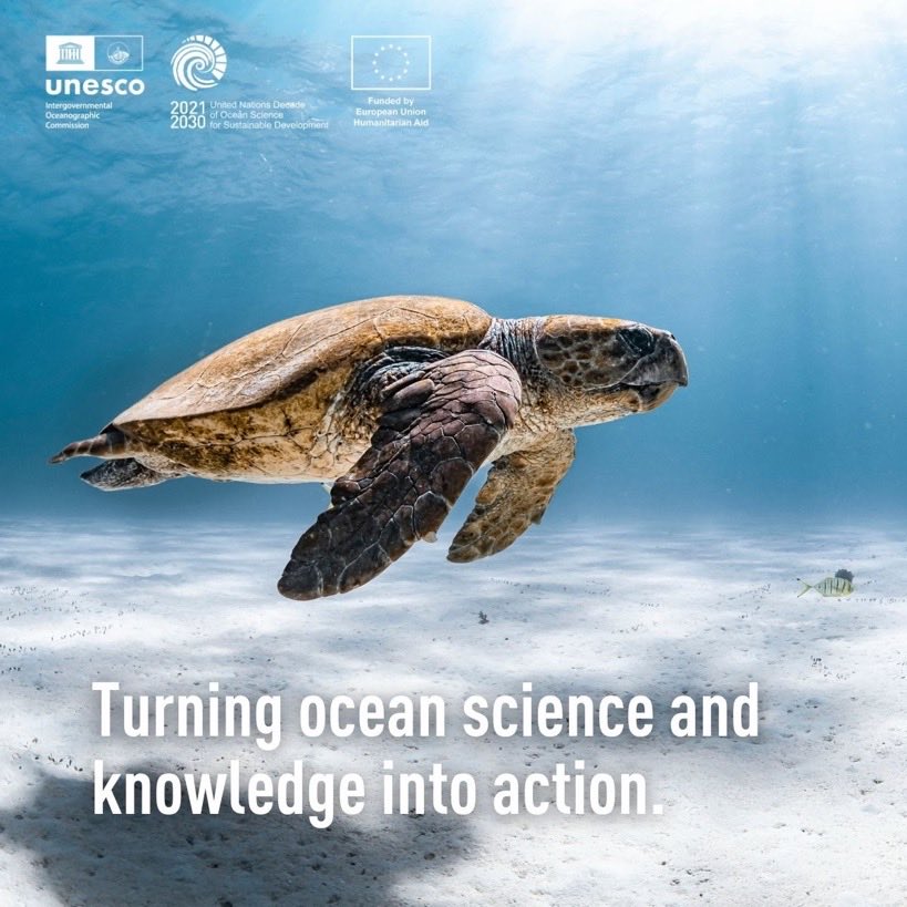 CoastWAVE Project tweet media