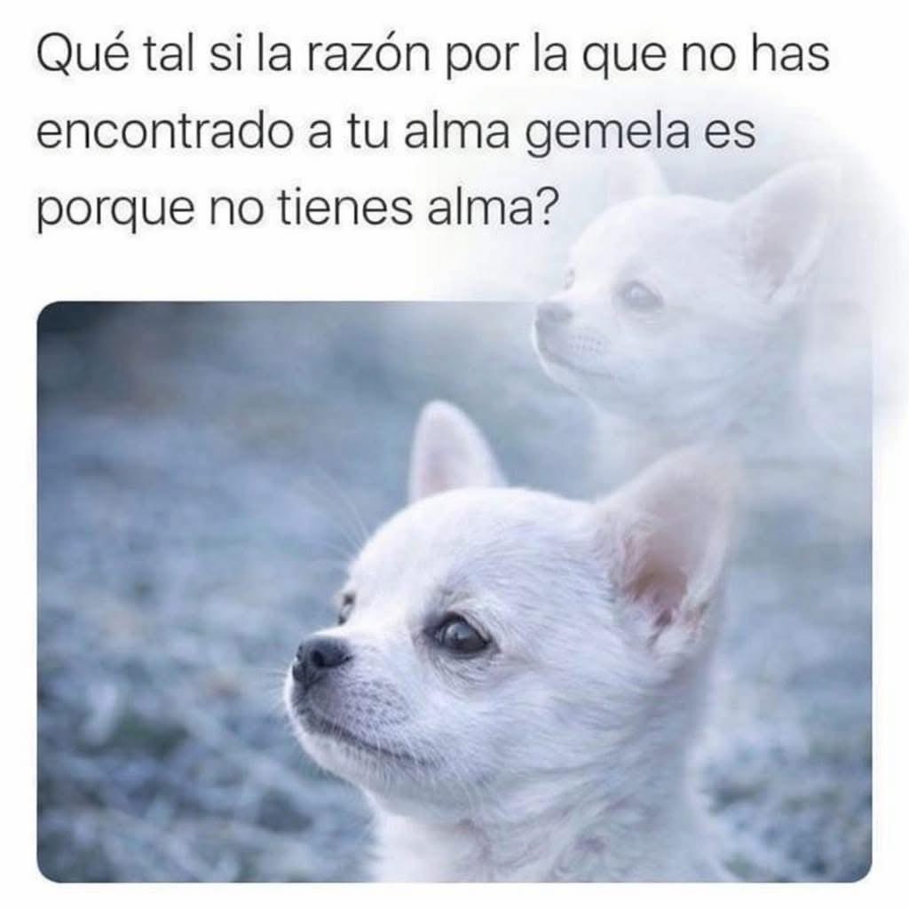 Ethna02's tweet photo. Ahora todo tiene sentido 😳🤔 https://t.co/Xurvjoqlrv