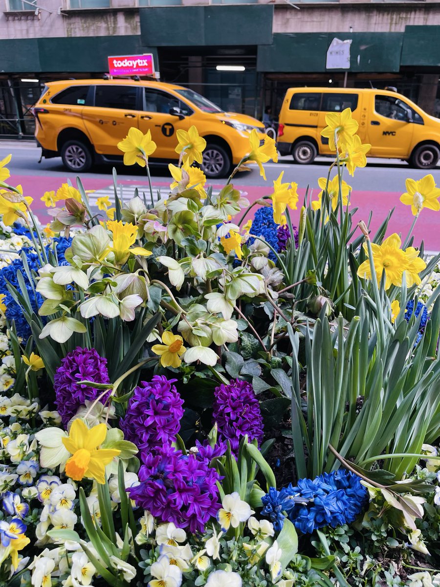 Tim Kotzman tweet media