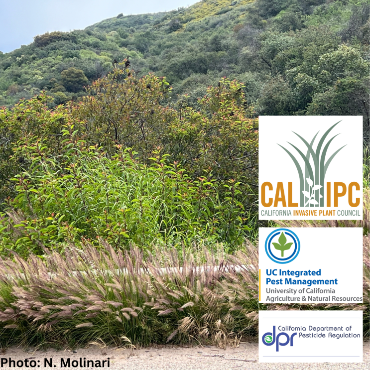 Cal-IPC tweet media