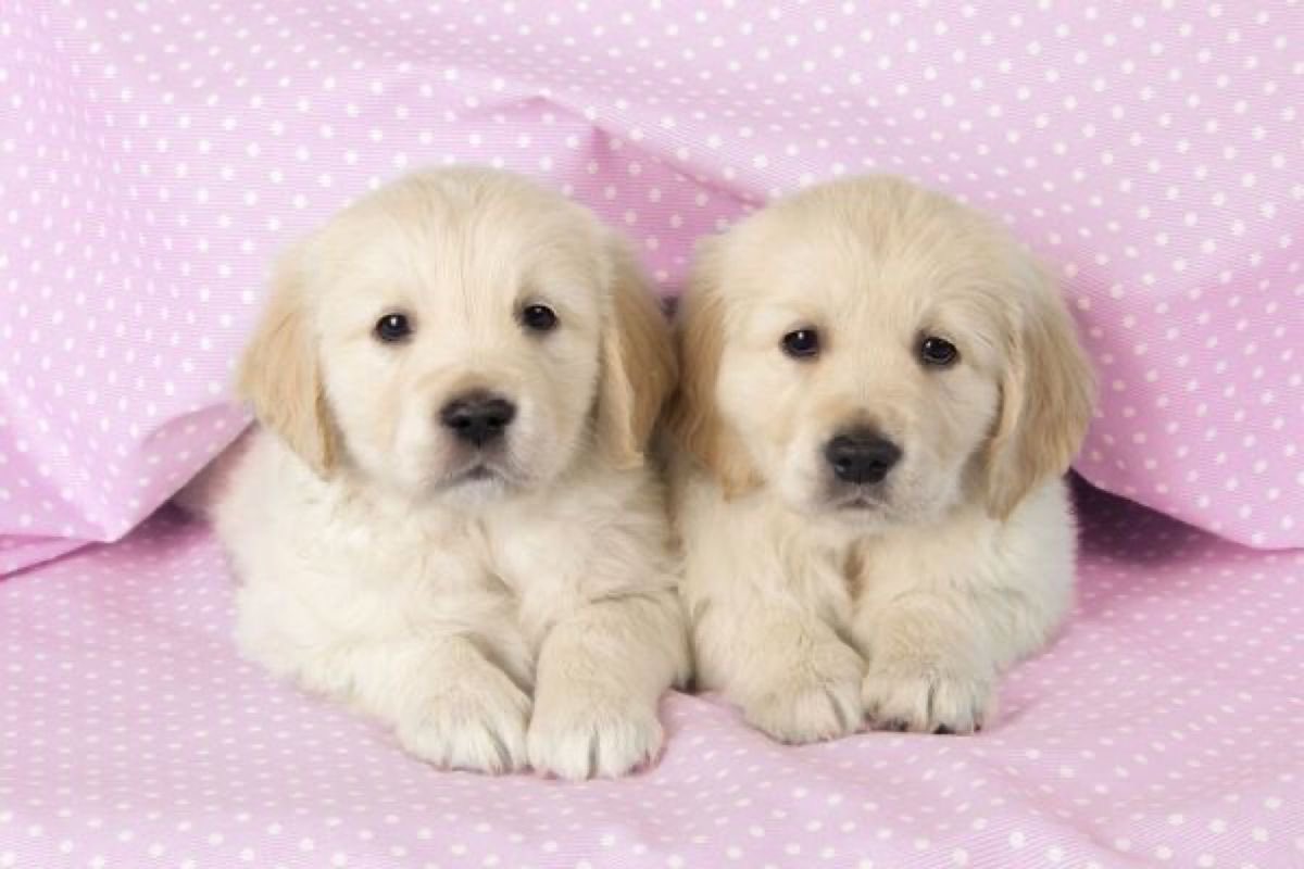 its honey! ⋆.ೃ࿔*:･ tweet media